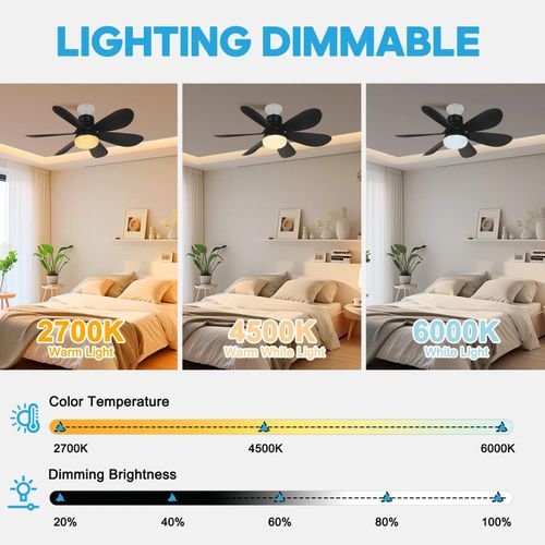 Portable LED Ceiling Fan with Light