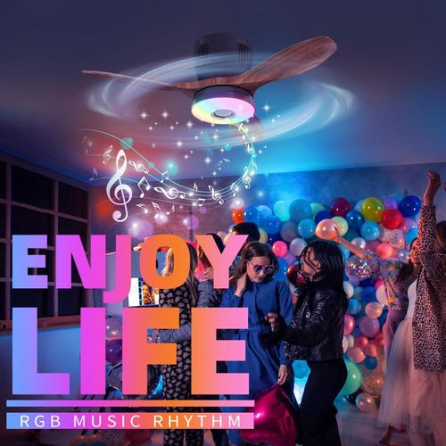Portable Bluetooth Smart Ceiling Fan with LED Light