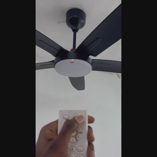 Summer Wind 5-Blade Ceiling Fan with LED Light 54 inches for modern spaces